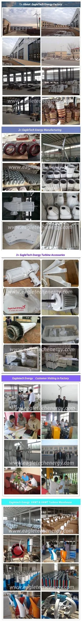 3kw Home Use Wind Turbine / Wind Power Generator System (3000W)