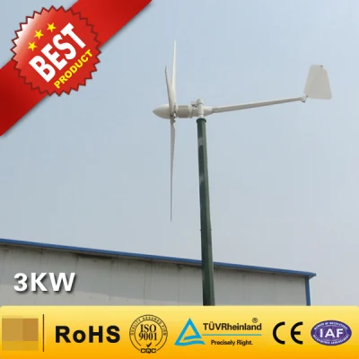 Turbine éolienne à usage domestique de 3 kW/système de générateur d'énergie éolienne (3000 W)