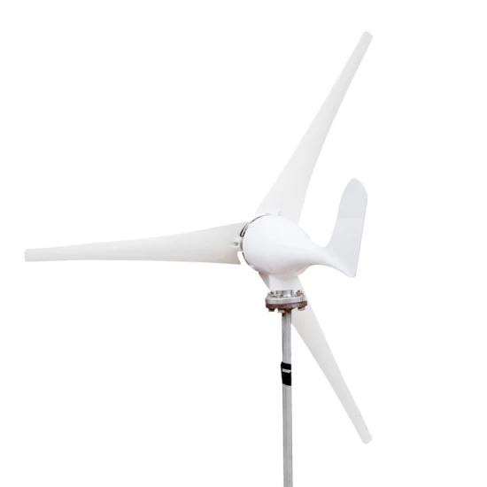 Gros ménage blanc 100W 200W 300W éolienne éolienne générateur d'énergie éolienne générateurs de vent marins